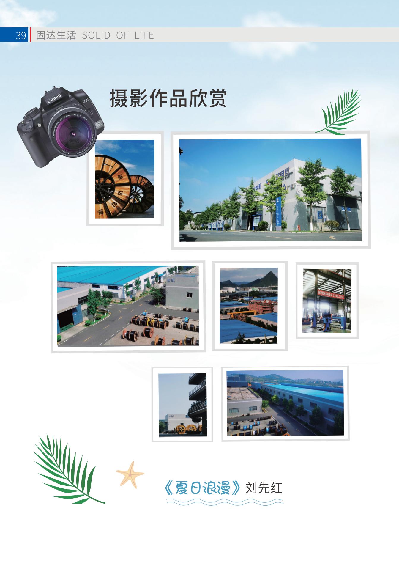香蕉视频在线视频季刊第十七期
